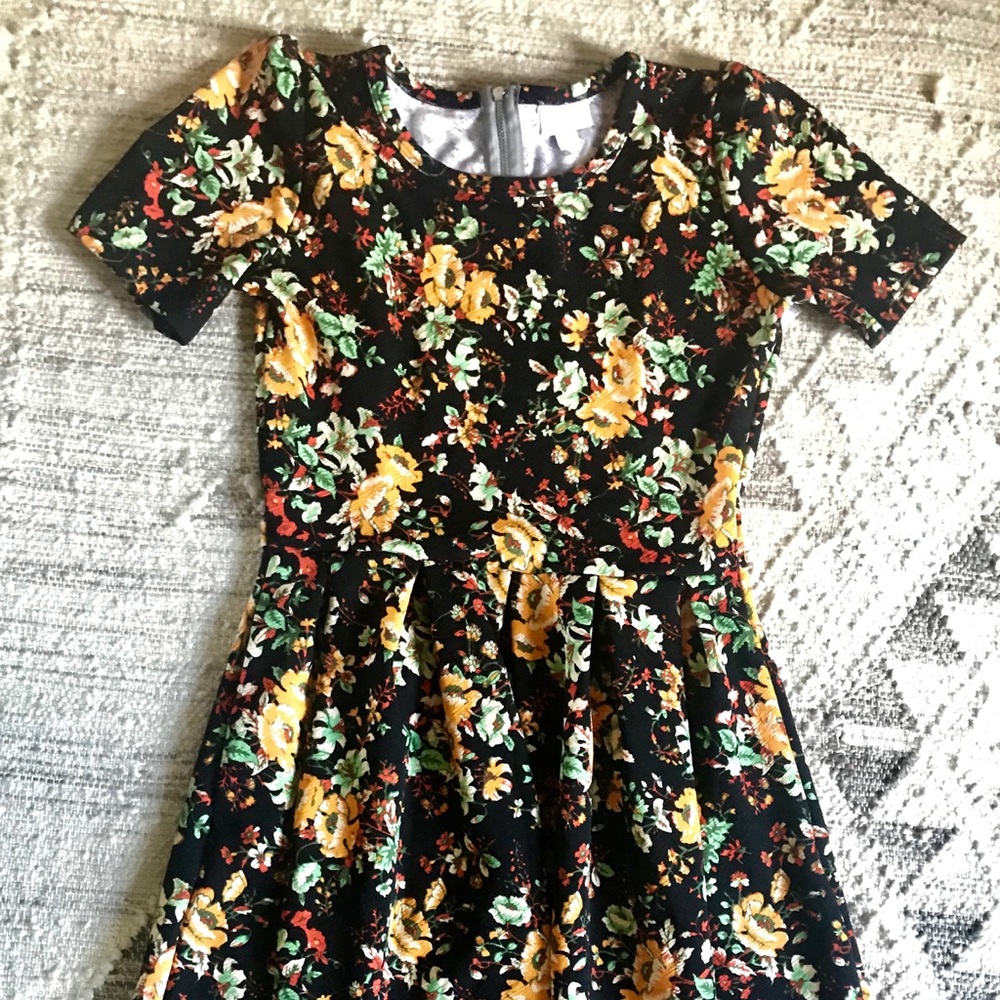LulaRoe Amelia Autumn Floral Dress Never Worn